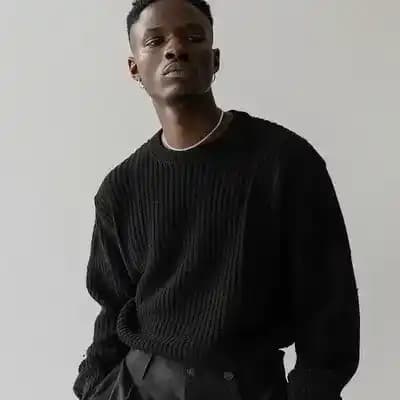Model cover image